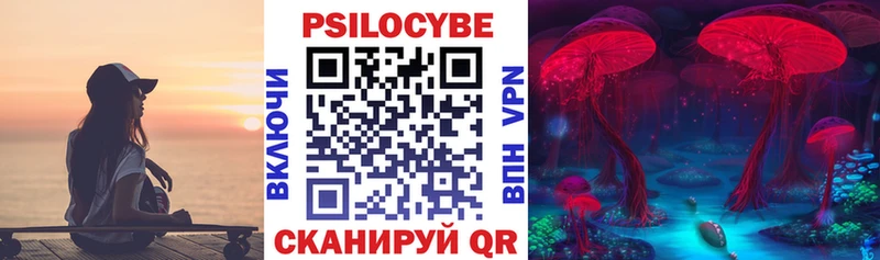 мориарти как зайти Топки Псилоцибиновые грибы мицелий